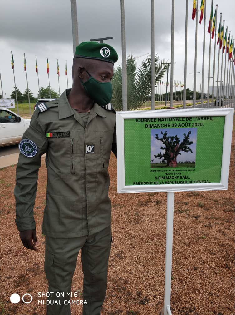journée de l'arbre 2020 CICAD  DAKAR  Diamniadio 1 - journée de l'arbre 2020 CICAD- DAKAR- Diamniadio 3