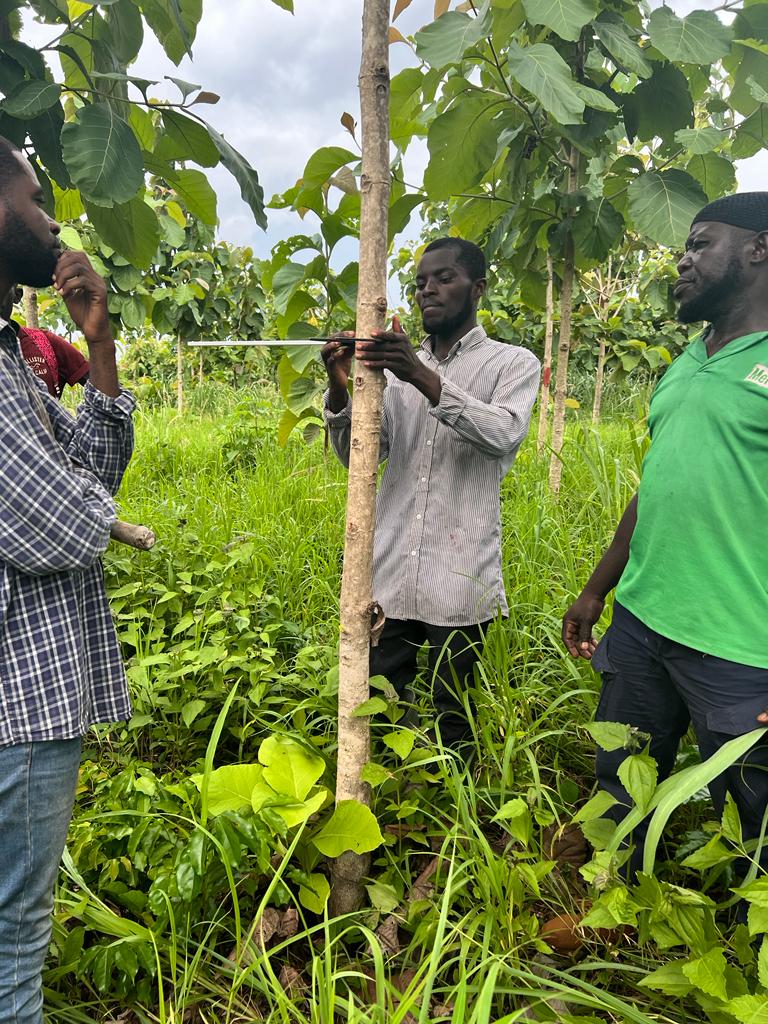 Développement d'un projet de carbone dans les eaux du Ghana