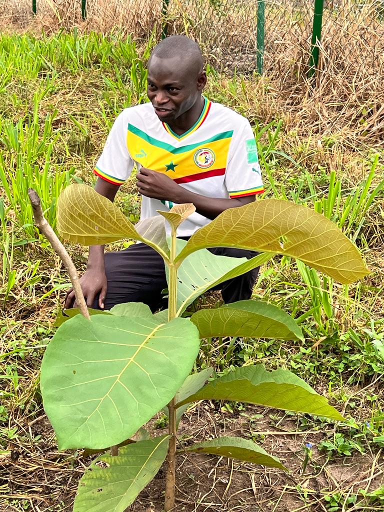 Développement d'un projet de carbone dans les eaux du Ghana
