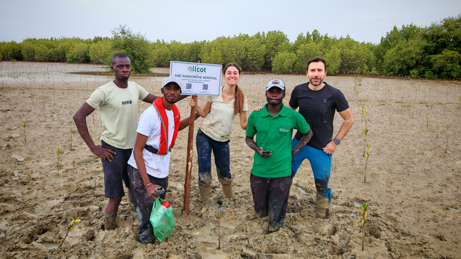 installation de placettes permanentes pour le suivi de reboisement du projet ABC Mangrove Sénégal