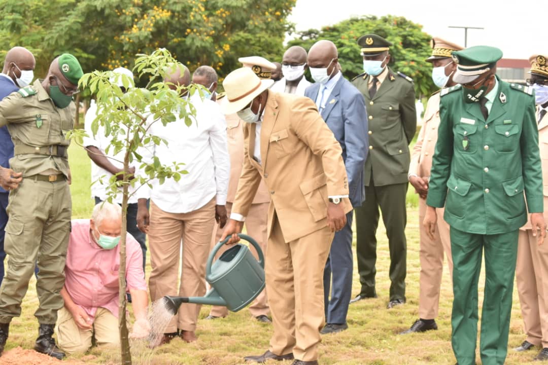 journée de l'arbre 2020 CICAD  DAKAR  Diamniadio 1 - journée de l'arbre 2020 CICAD- DAKAR- Diamniadio 4