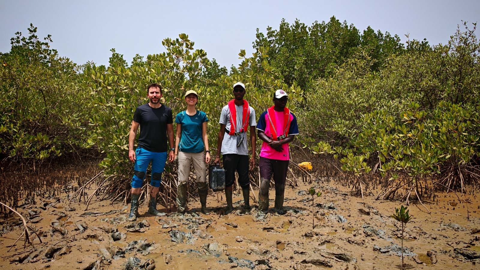 installation de placettes permanentes pour le suivi de reboisement du projet ABC Mangrove Sénégal