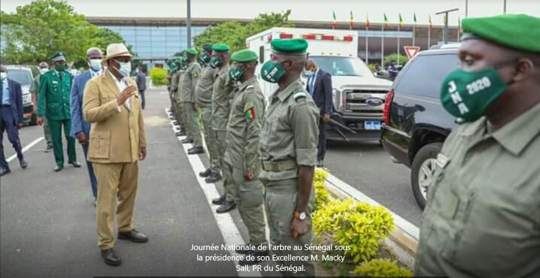 Album journée de l'arbre
